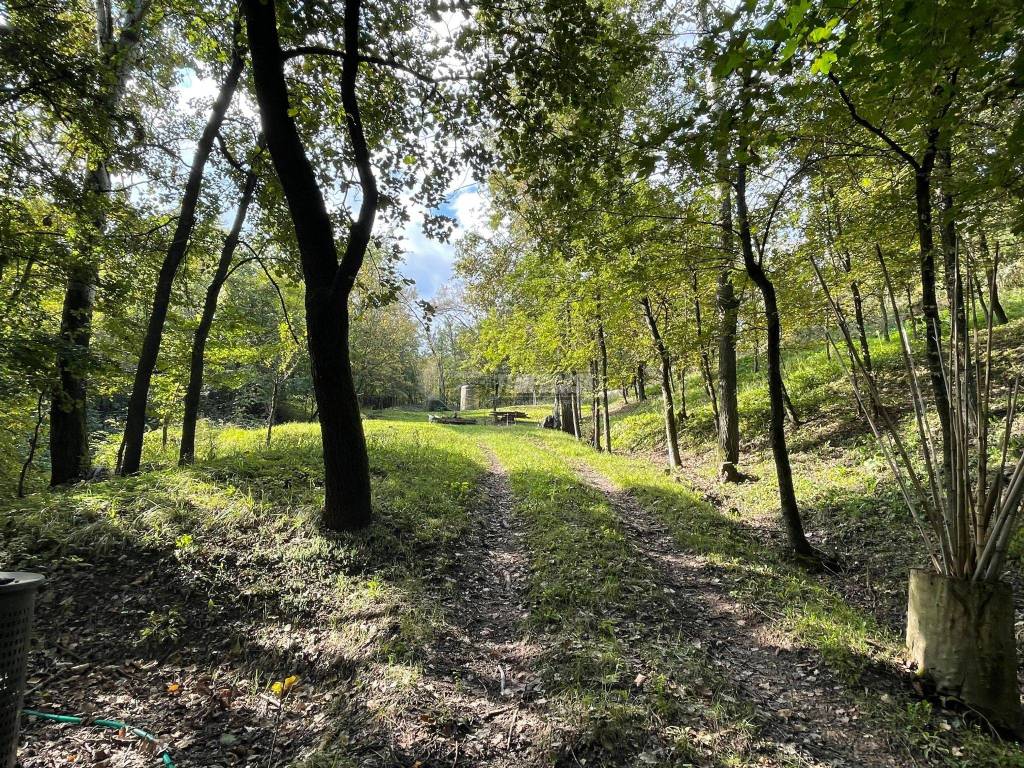 Terreno agricolo via colombara 10, scandiano