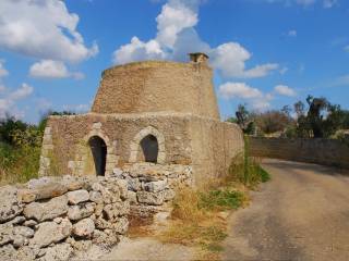 pajara