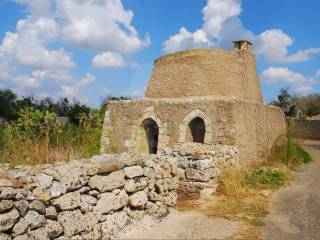 pajara