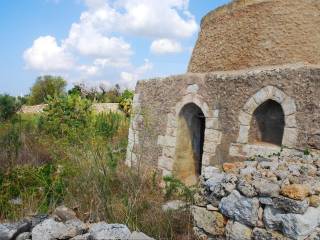 pajara