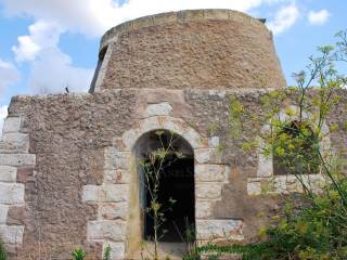 pajara