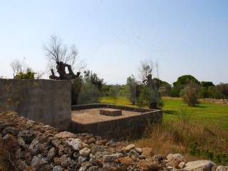 cisterna