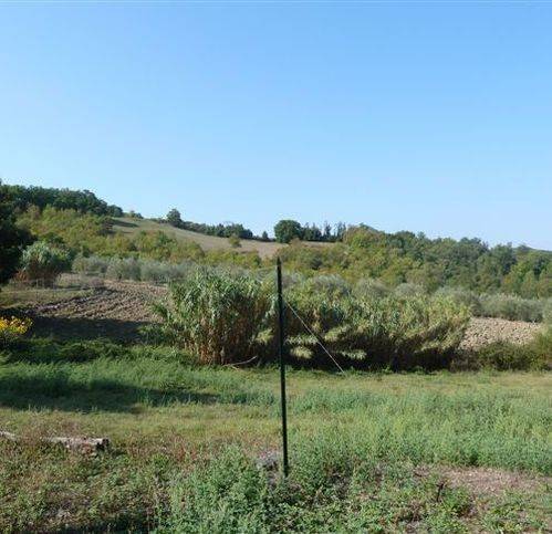 Terreno agricolo leccia, castelnuovo di val di cecina