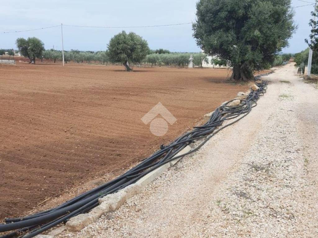 Terreno agricolo contrada lamascopone, fasano paese, fasano