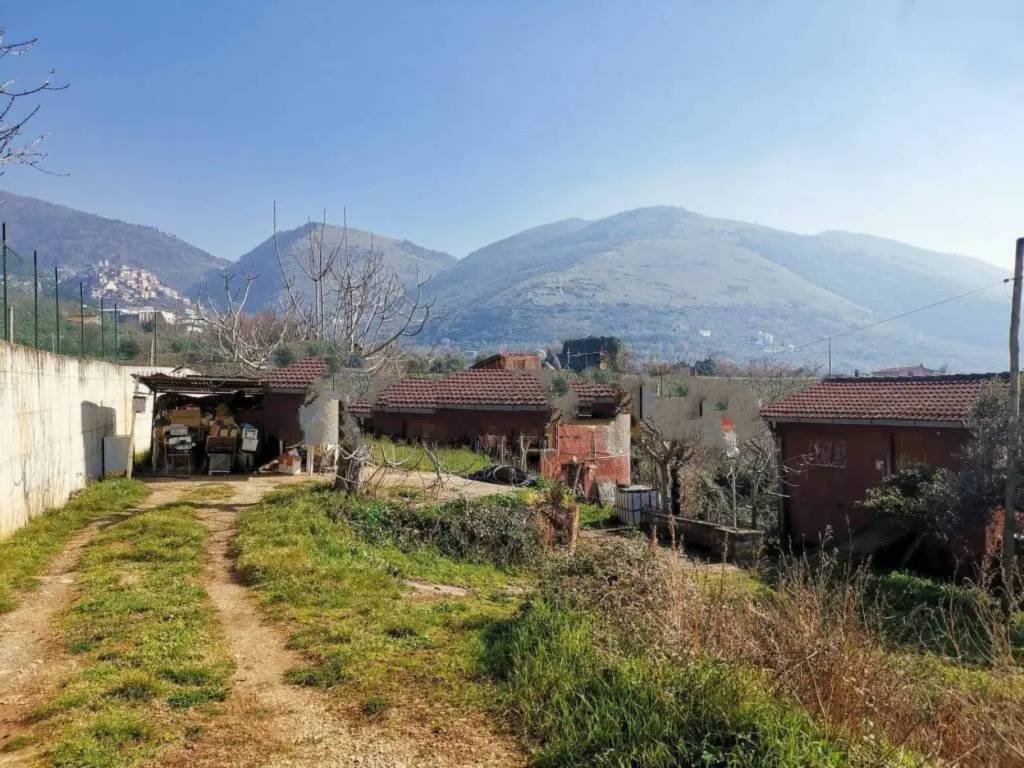 Terratetto unifamiliare contrada coce, piglio