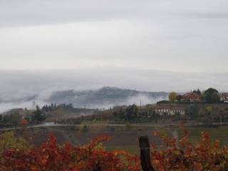 panorama/vigneto