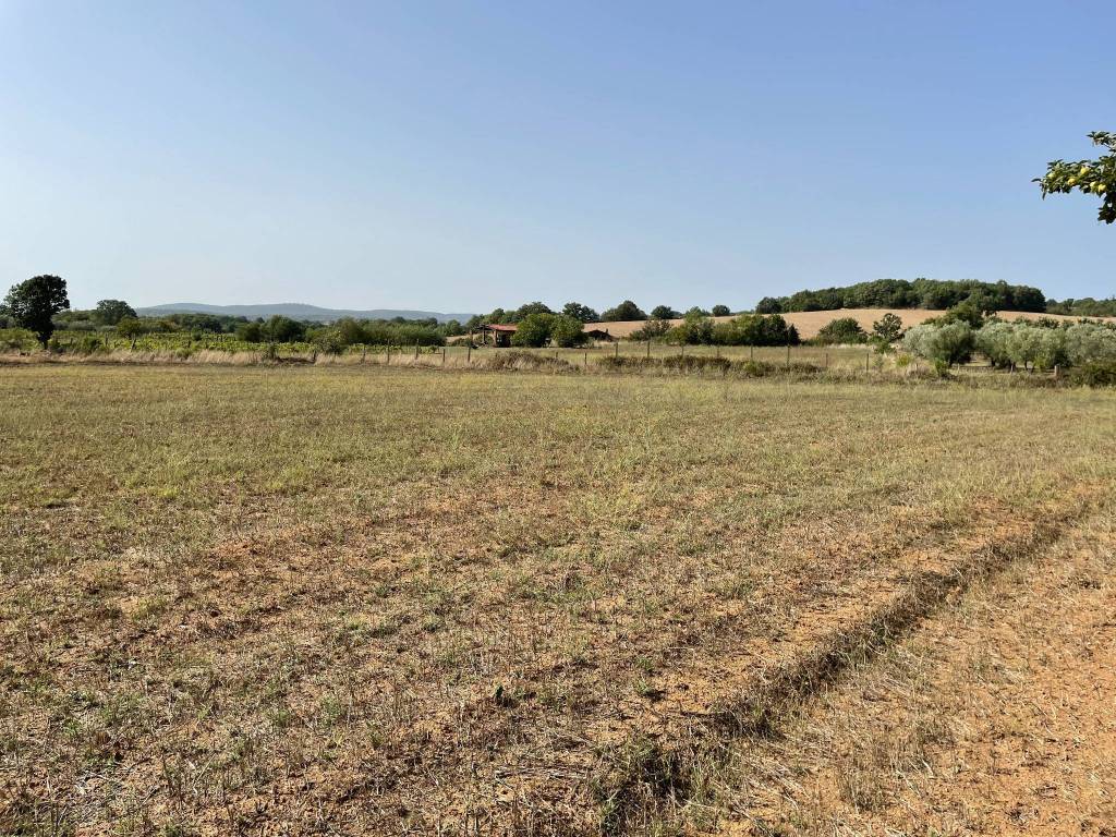 Terreno agricolo vicolo del macello 12/1, blera