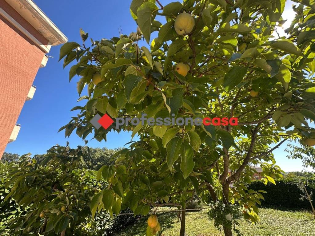 Vendita Appartamento in via Angelo Zuccarelli, 1/A. San Giuliano del