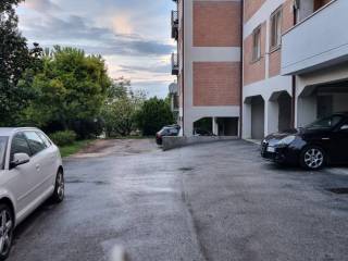 Zona
