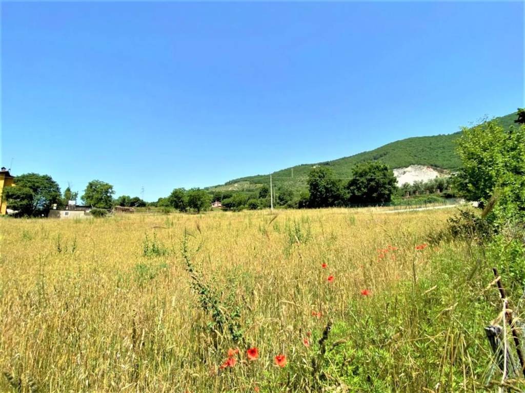 Terreno non edificabile via nucleo cesoni san c., cittaducale