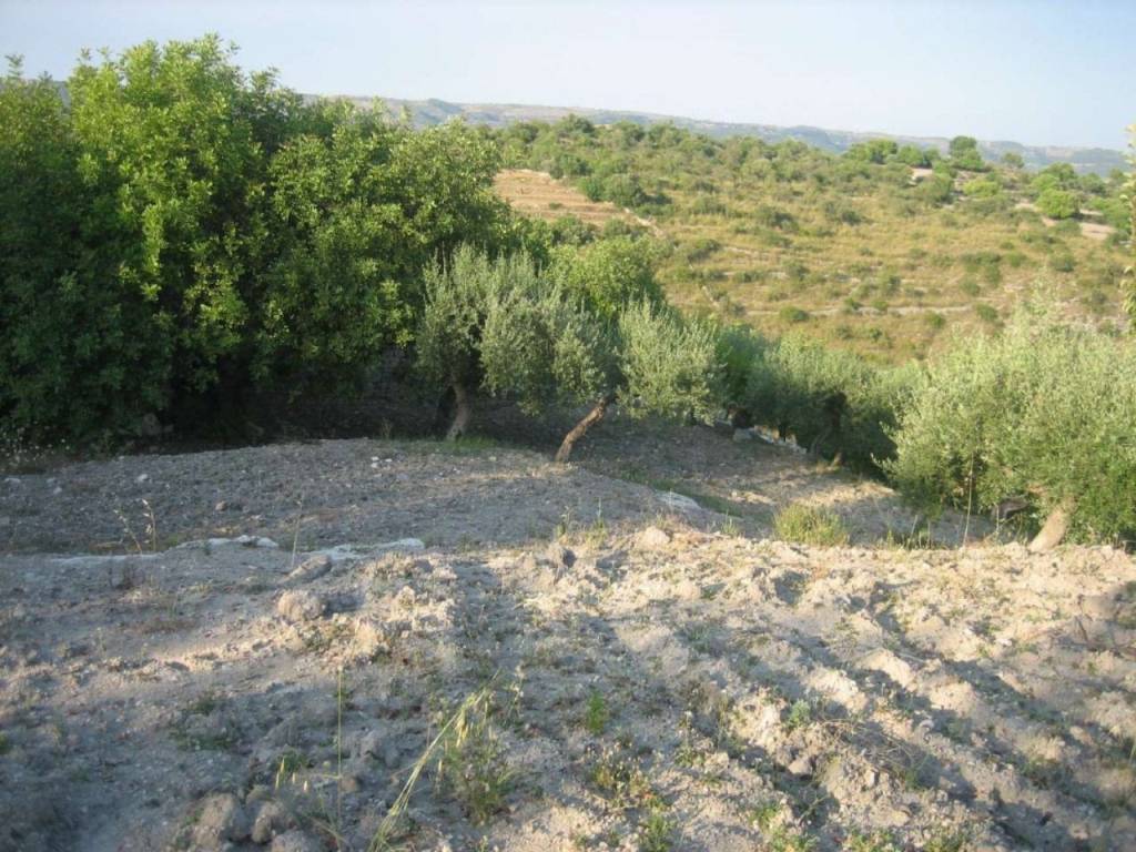 Terreno non edificabile provinciale 79, campanella gianforma, modica