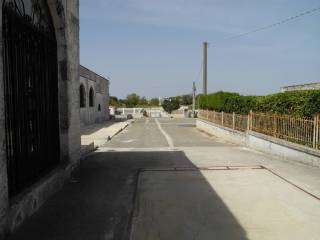 Zona
