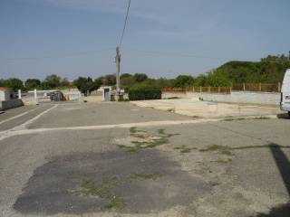 Zona