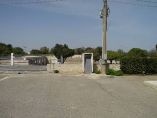Zona