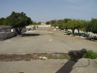 Zona