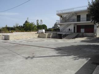 Zona