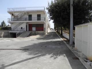 Zona