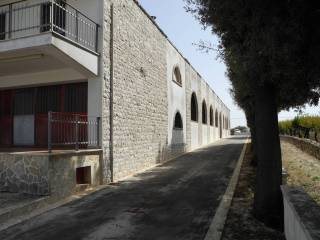 Zona