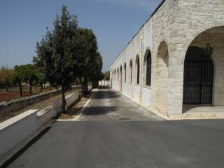 Zona
