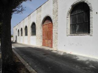 Zona