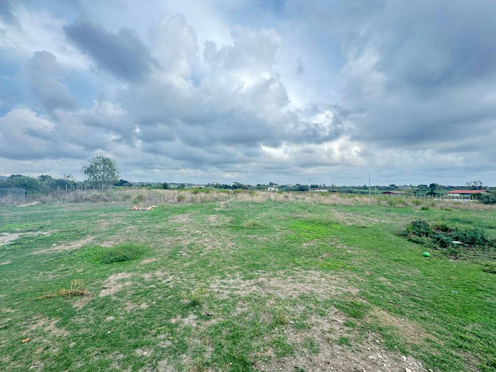 Terreno agricolo via fosso della tomba, sasso, furbara, cerveteri