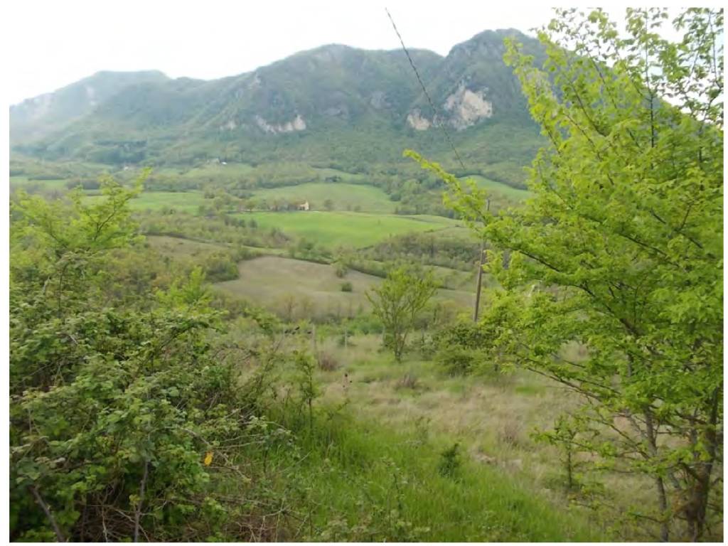 Terreno agricolo via orelia, grizzana morandi