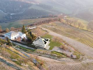 Vista