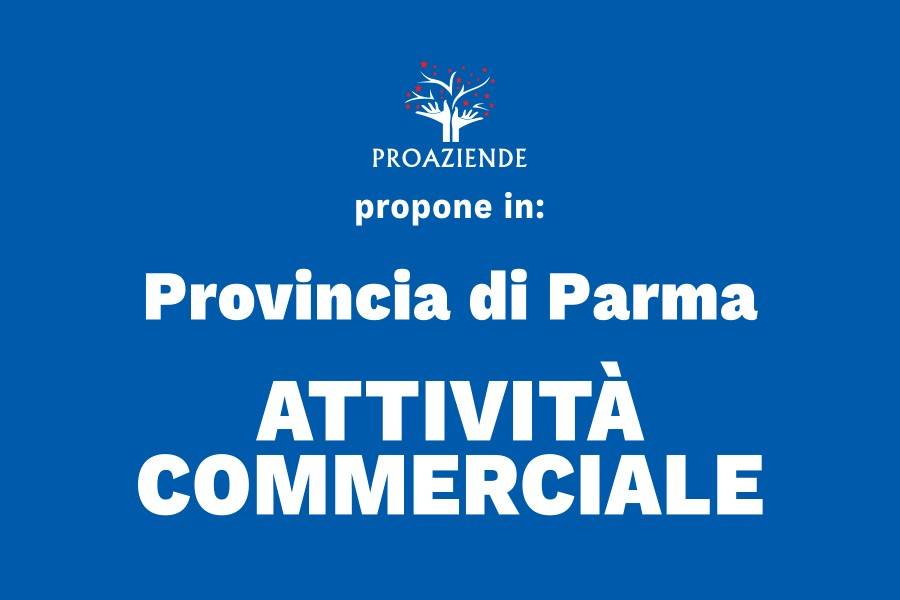 Attività commerciale via camillo benso di cavour 1, centro, mantova