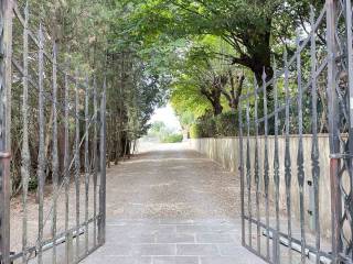 Viale ingresso