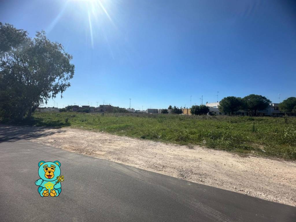 whatsapp image 2024 10 08 at 11 47 01 wmk 0