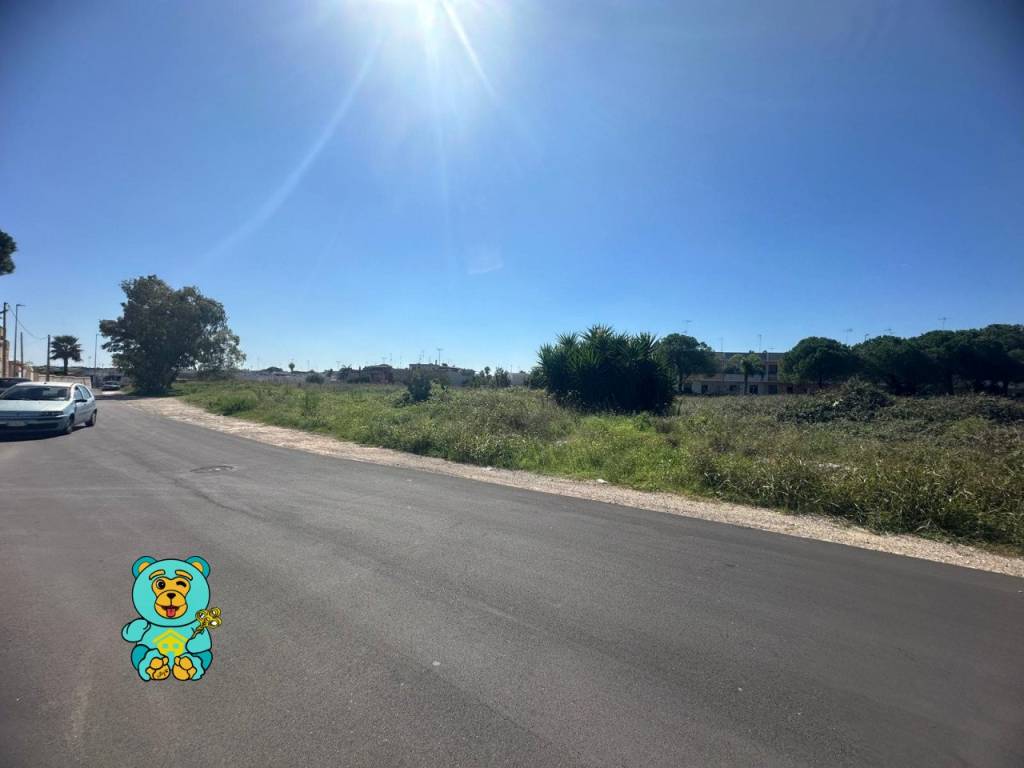 whatsapp image 2024 10 08 at 11 47 02 wmk 0