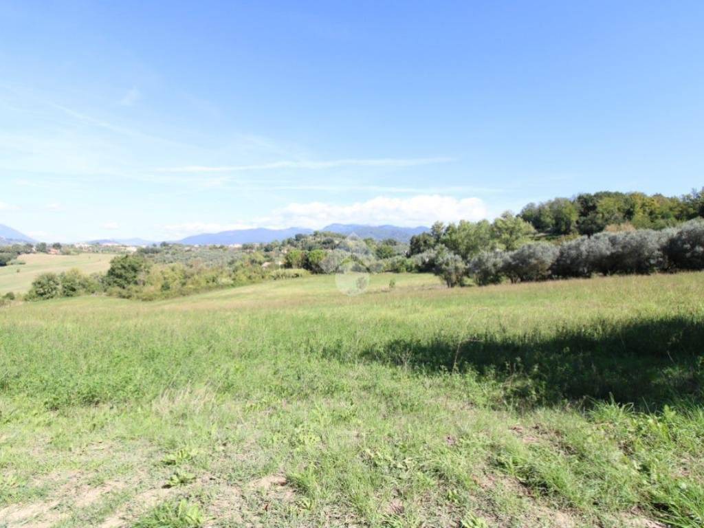 Terreno agricolo via san nicola, poggio mirteto