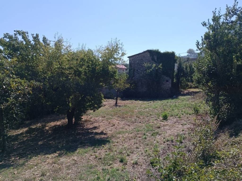 Terreno agricolo via badia snc, esperia