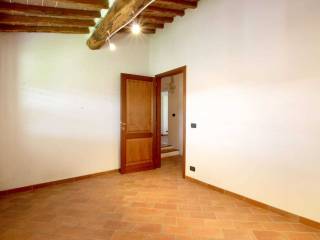 WhatsApp Image 2024-08-28 at 11.37.44.jpeg