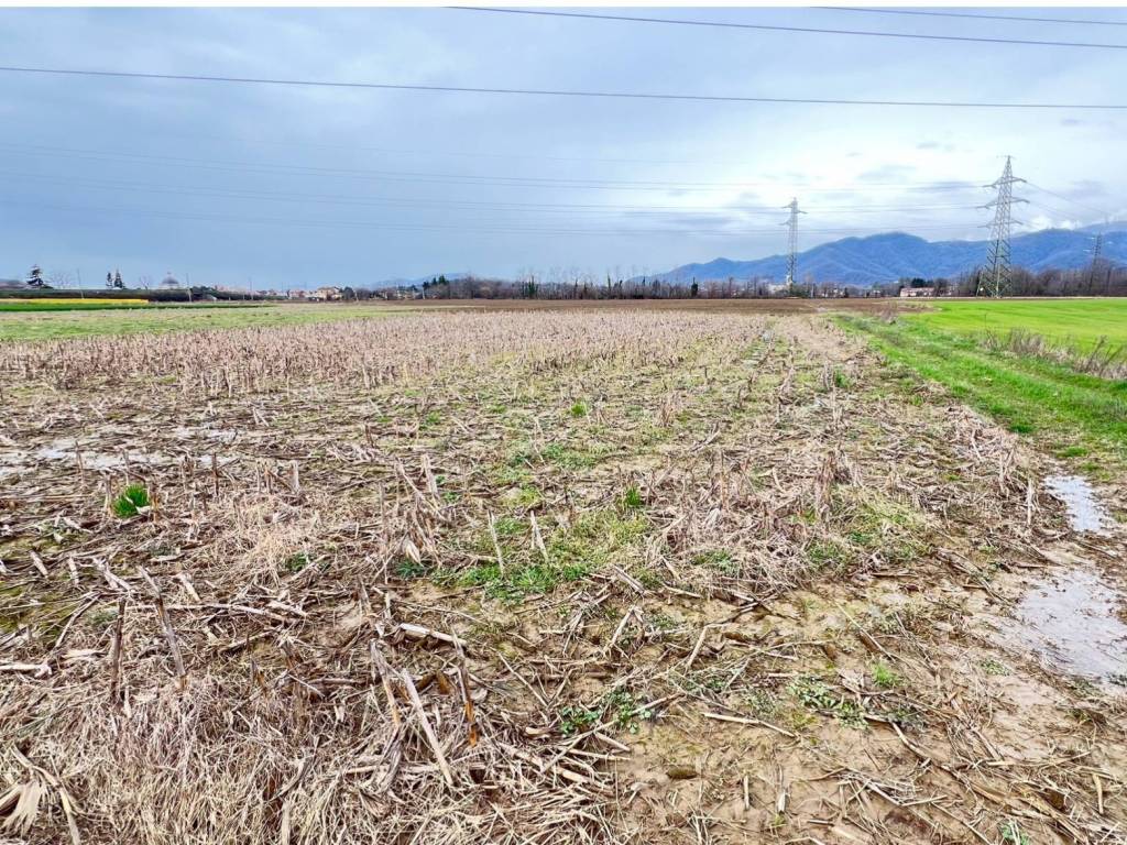 Terreno agricolo via galilei, chignolo d'isola