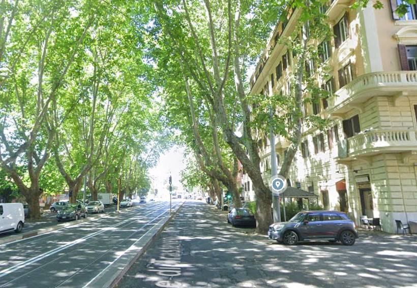 Stanza singola viale di trastevere, roma