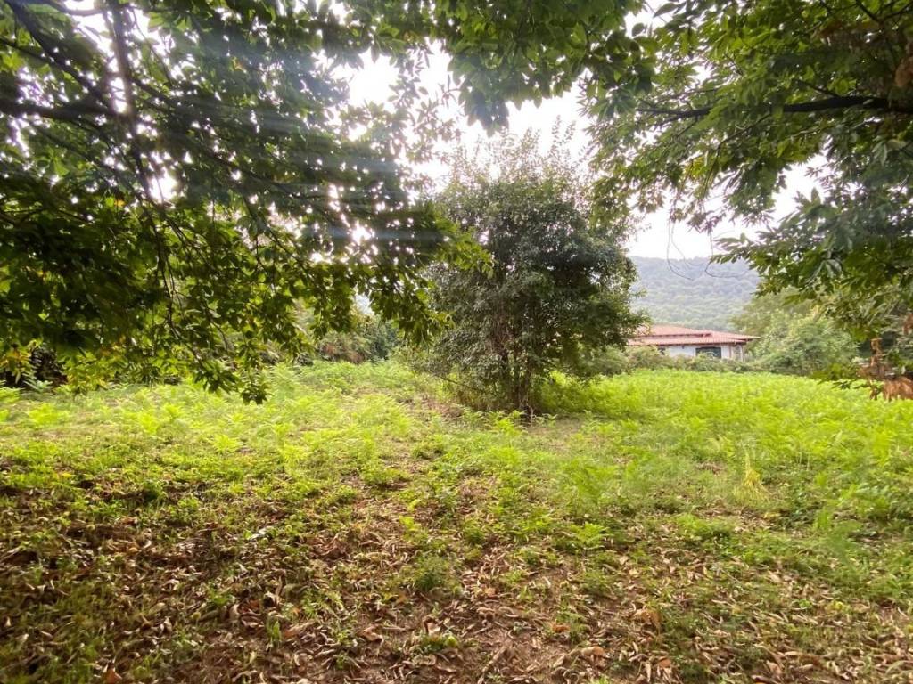 Terreno agricolo via maschio delle faete, centro, rocca di papa