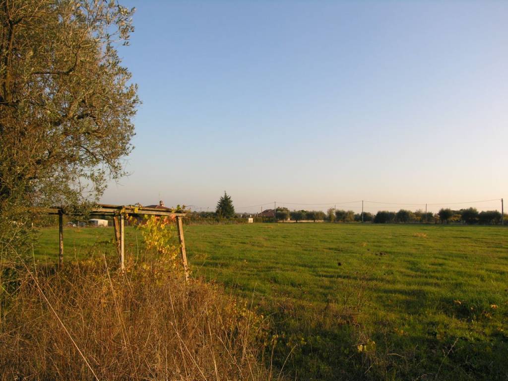 Terreno agricolo via astura, lanuvio