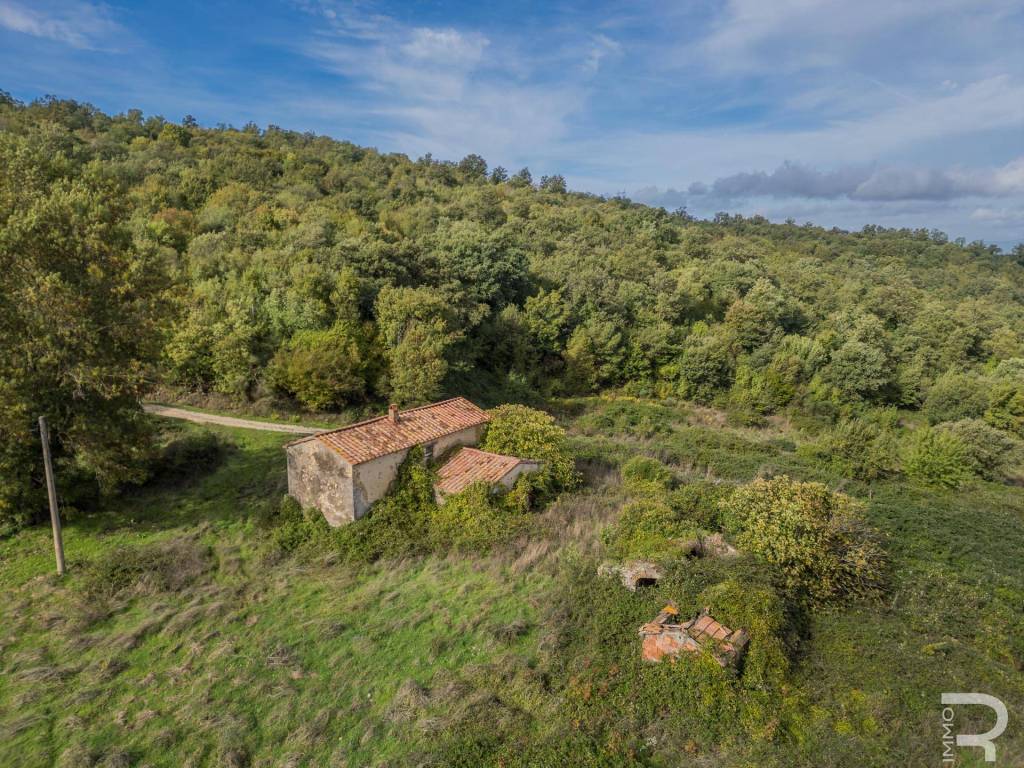 Rustico strada provinciale amiatina 15, scansano