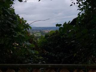 Vista
