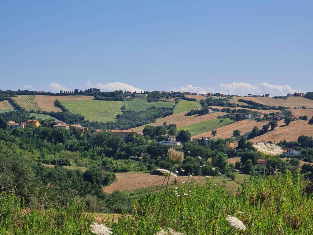 Trilocale piano terra, centro, agugliano