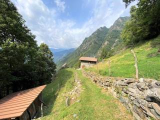 Esterno