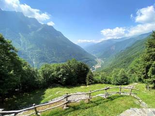 Vista