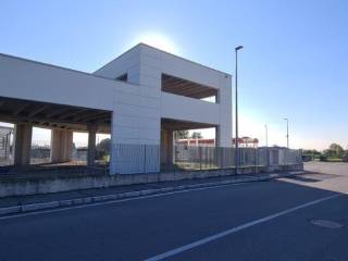 Zona