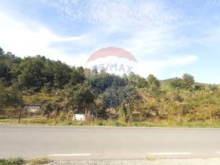 Zona