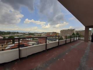 Vista