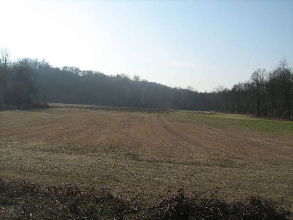 Terreno non edificabile via campo sportivo san c., centro, oleggio