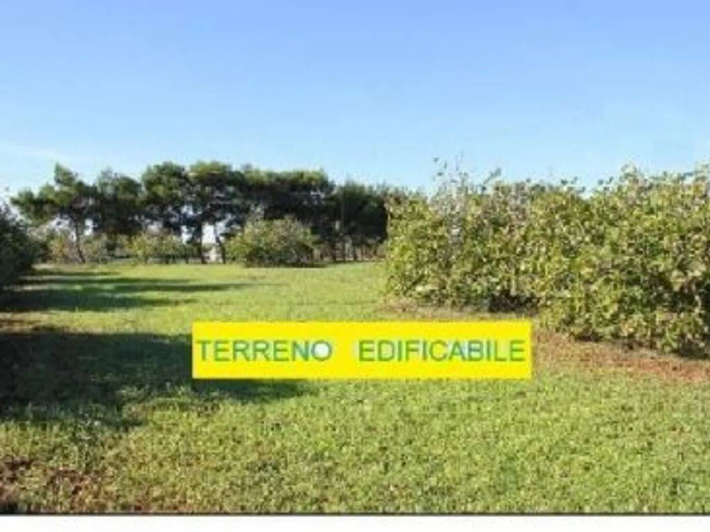 Terreno edificabile, centro, paruzzaro