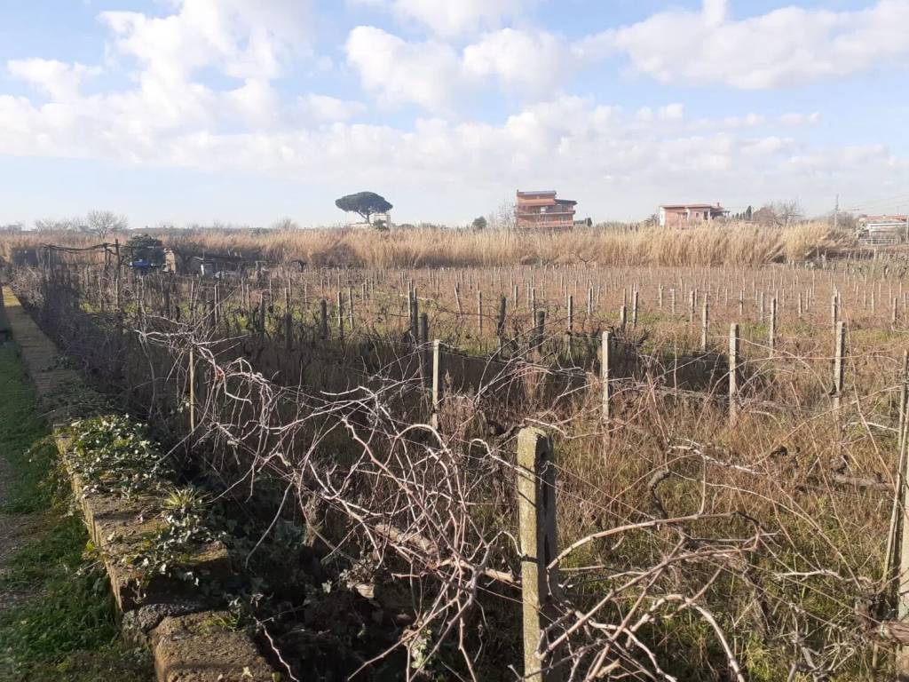 Terreno non edificabile via isola del giglio, 11, ciampino