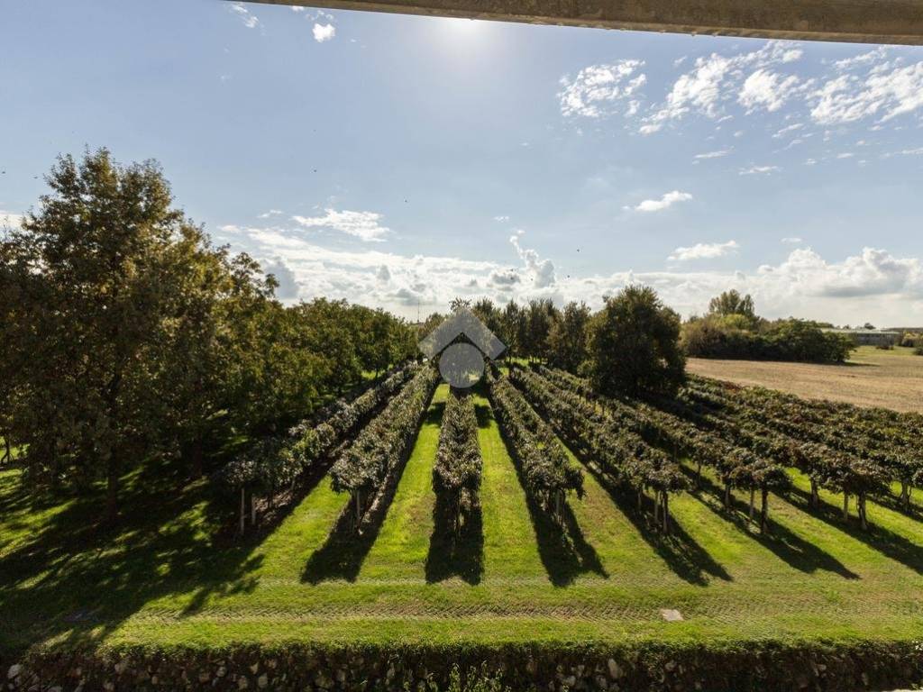 vista campagna